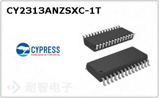 CY2313ANZSXC-1T