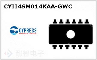 CYII4SM014KAA-GWC