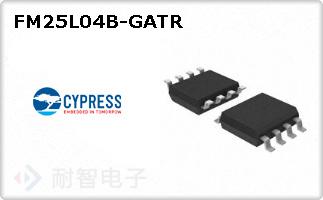 FM25L04B-GATR